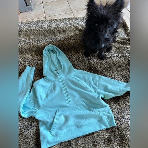 Super cute 1/4 zip hoodies, xs. Price per sweater - Picture 1 of 4
